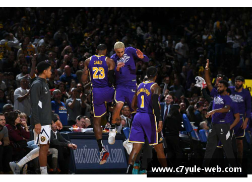 全方位探索：NBA回放的精彩瞬间与赛季重播