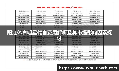 阳江体育明星代言费用解析及其市场影响因素探讨